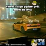 Ronald Abarca - @abarca_ronald - Instagram