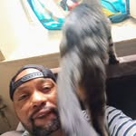Ronald Addison - @ronaldaddison9 - Instagram