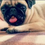 Ronald García - @ronaldagarciac - Instagram