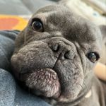 Ernie Ronaldeano Allaire - @mr.ernie.boy - Instagram