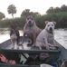 Ronald Angle - Facebook