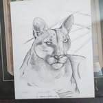 Ronald Angle - @angleronald - Instagram