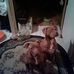 Ronald Antonucci - Facebook
