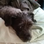 Ronald Appelle - @ronaldappelle - Instagram