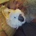 Ronald Applewhite - Facebook