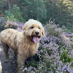 Dawn Ashcroft - @dawn.ronaldson - Instagram