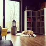 ronald baas - @ronaldkkuuuu - Instagram