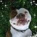 Ronald Warren Bach - Facebook