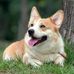 Ronald Beckman - Facebook