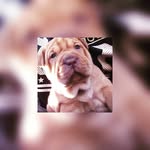 Ronald - @balogh_ronald - Instagram