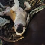 Ronald Barfield - @ronald.barfield.5 - Instagram
