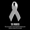 Ronald Barrera318 - @ronaldbarrera52 - TikTok