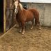 Ronald Beaudet - Facebook