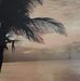 Ron Bechtel - Facebook
