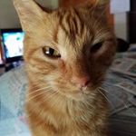 Ronaldbeers9@gmail.com - @ronaldbeers9gmail.com5472 - Instagram