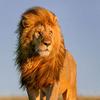 Ronald Beharry998 - @ronaldbeharry - TikTok