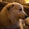 ronaldbennington81 - @ronaldbennington81 - TikTok