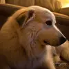 ronaldbennington81 - @ronaldbennington81 - TikTok