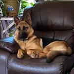 Ronald Berget - @ronaldberget - Instagram