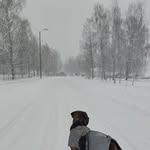 Ronald van den Berge - @vandenbergeronald - Instagram