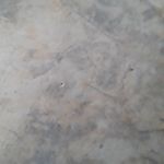 ronald bertin - @bertin.ronald - Instagram