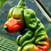 Ronald - @ronald.birothe - TikTok