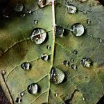 Ronald Bittner - @bittnerfoto66 - Instagram