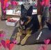 Ronald Blanchette - Facebook