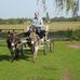 Ronald Blank - Facebook