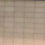 Ronald Blauvelt - @ronaldblauvelt889 - Instagram