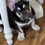 Ronnie Blocker - @ronaldtblo - Instagram
