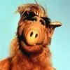 Ronald Blom658 - @ronaldblom658 - TikTok