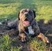 Ronald Blom - Facebook