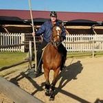 Ronald Botha - @ronald.botha.31 - Instagram