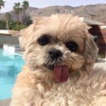 Ronald James Bowes III - @ronniebowes - Instagram