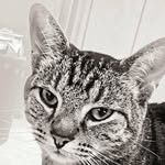 Ronald Boyles - @puddlejumper2023 - Instagram