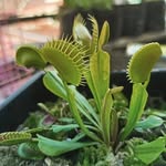 Ronald Boyles Vallespin - @0nadvallespin - Instagram