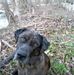 Ronald Brabham - Facebook