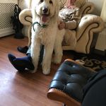 Ronald Brindley - @ronaldbrindley - Instagram