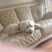 Ronald Brindley - Facebook