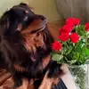 Ronald Brockmann - @ronald.brockmann - TikTok