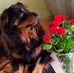 Ronald Brockmann - Facebook