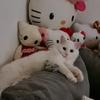Ronald Brumby198 - @ronaldbrumby5872 - TikTok