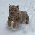 Ronald Buhler - @pocket_zeus2021 - Instagram