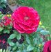 Ron Burroughs - Facebook
