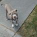 Ronald L. Burwell Jr. - Facebook