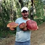 luis ronald bustos mellado - @luisronaldbustos - Instagram