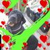 Ronald L Buzard - Facebook