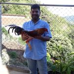ronald Rodriguez - @ronald_cabezon - Instagram