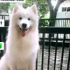 Ronald Caesar - @rc.069 - TikTok